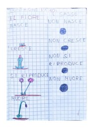 MEGA PACK QUADERNO DI SCIENZE - Classe 1° Scuola Primaria - Teoria + kit di 21 schede in b/n per fare attività -