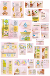 Kit di materiali per il quaderno completo di scienze classe prima e seconda stile lapbook