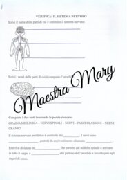 Verifiche scienze classe 5