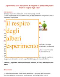 Alberi e ambiente: 4 esperimenti per incuriosire e comprendere-Giornata degli alberi-per tutte le classi