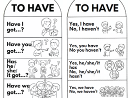 The Verb TO HAVE - Materiale Pop-Up e Lapbook Interattivo | Inglese Scuola Primaria