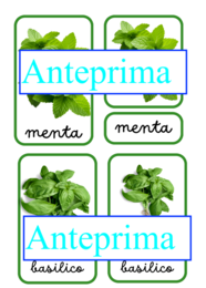 Nomenclatura arricchita delle erbe aromatiche