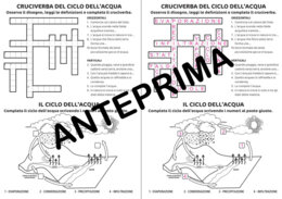 CRUCIVERBA SUL CICLO DELL'ACQUA CON ESERCIZIO - SCUOLA PRIMARIA - CLASSE TERZA
