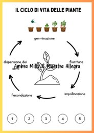 Primavera - Percorso Interdisciplinare classe 2