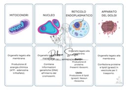 Cellule scienze