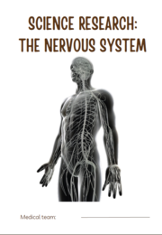 CLIL: THE NERVOUS SYSTEM