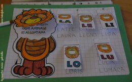 Lettera L come Leoni