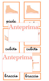 Prima del metro il corpo: un percorso Montessori tra Storia e Matematica alla scoperta delle antiche misure