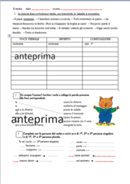 Esercizi grammatica classe 3/4 primaria