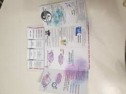 MAXI BUNDLE Lapbook dei Testi: Narrativo, Poetico, Descrittivo