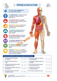 CLIL Science The Human Body classe 5^