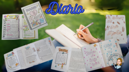 Il diario
