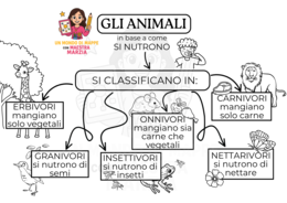 Classifichiamo gli animali in base a come si nutrono