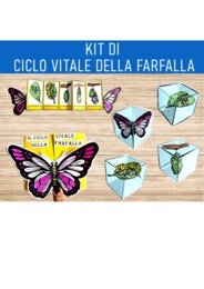 kit di ciclo vitale della farfalla