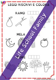 Leggi riscrivi e trova (M S L R)