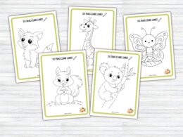 60 Schede di Pregrafismo e Tratteggio per Scuola Infanzia e Prima Elementare | Attività di Motricità Fine, Controllo della Matita e Disegni da Colorare | Prerequisiti Scrittura (PDF Stampabile No Prep)