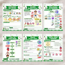 Dalla cellula agli apparati scuola primaria