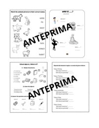 QUADERNO DI INGLESE CL.2^ con kit di 20 schede in b/n  - Scuola Primaria -