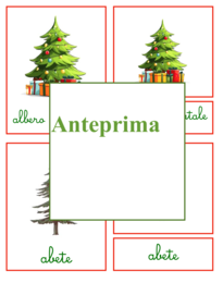 Nomenclatura di Natale-Percorso montessoriano di arricchimento linguistico tra lettura, scrittura e immaginazione
