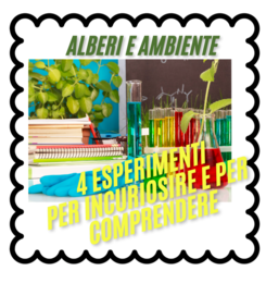 Alberi e ambiente: 4 esperimenti per incuriosire e comprendere-Giornata degli alberi-per tutte le classi