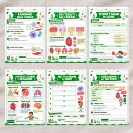 Dalla cellula agli apparati scuola primaria