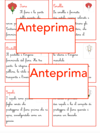 Nomenclatura arricchita del fiore classi 1-5