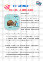 Pacchetto matematica + scienze classe II
