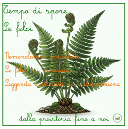 Tempo di spore:le felci-un percorso tra botanica, storia, dinosauri e poesia-per tutte le classi