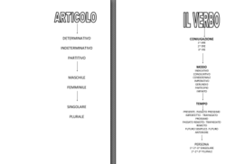 Ali analisi grammaticale articolo- verbo