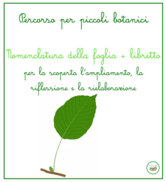 Percorso per piccoli botanici; nomenclatura della foglia + libretto per l'ampliamento
