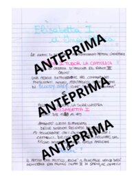 L'Inghilterra di Elisabetta I, l'Invincibile Armata e il Rinascimento Inglese – Riassunto scritto a mano e schematizzato -