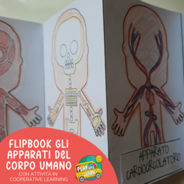 FLIPBOOK: GLI APPARATI DEL CORPO UMANO