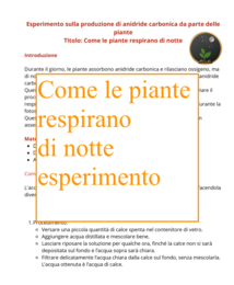 Alberi e ambiente: 4 esperimenti per incuriosire e comprendere-Giornata degli alberi-per tutte le classi
