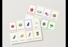 FLASHCARDS VERDURA