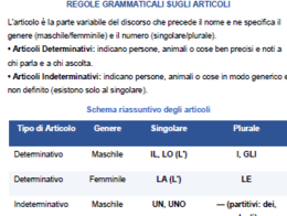 GLI ARTICOLI