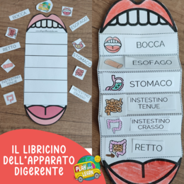 PACCHETTO CORPO UMANO