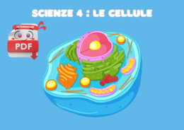 LA FABBRICA DEI PDF: Scienze 4 - La cellula