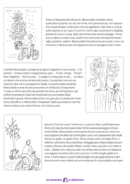 La pioggia e le foglie