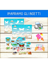 IMARIAMO GLI INSETTI (scuola dell'infanzia)