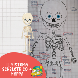 PACCHETTO CORPO UMANO