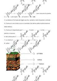 IL SUOLO – Scheda didattica completa con verifica e soluzioni