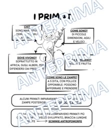 Storia classe 3^ - Era Terziaria: i primati