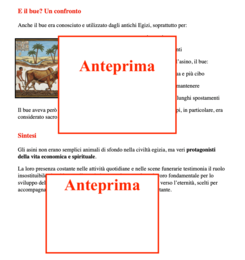 Gli asini nell’Antico Egitto: un percorso di storia tra fonti e leggende con attività per la rielaborazione