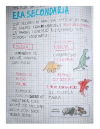 QUADERNO DI STORIA per la classe 3^ con kit di schede sui dinosauri, linea del tempo e ominidi