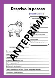 COSTRUISCO IL MIO LIBRETTO DEGLI ANIMALI