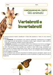 GLI ANIMALI VERTEBRATI E INVERTEBRATI - Pacchetto di 5 Schede Didattiche, Comprensione e Verifiche.