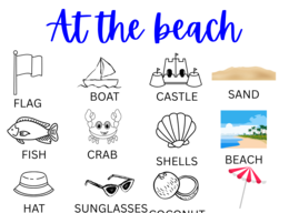 AT THE BEACH - PICTURE DICTIONARY