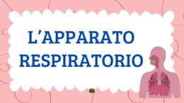 L'APPARATO RESPIRATORIO - QUADERNO DI SCIENZE CL. 5^ -