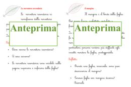 Percorso per piccoli botanici; nomenclatura della foglia + libretto per l'ampliamento
