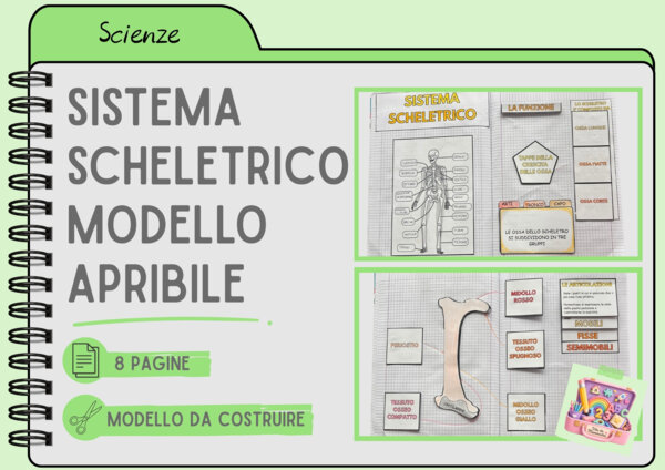 SISTEMA SCHELETRICO - MODELLO APRIBILE
